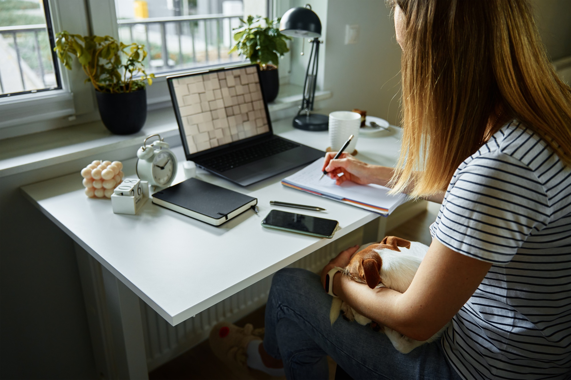 Woman working at home office, use laptop and hold dog on hands